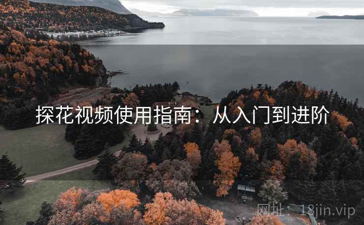 探花视频使用指南：从入门到进阶