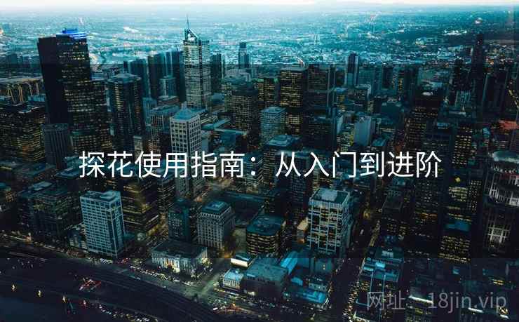 探花使用指南：从入门到进阶