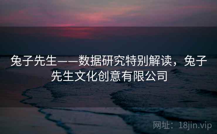 兔子先生——数据研究特别解读，兔子先生文化创意有限公司