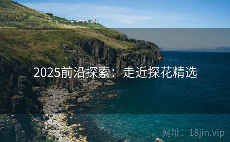 2025前沿探索：走近探花精选