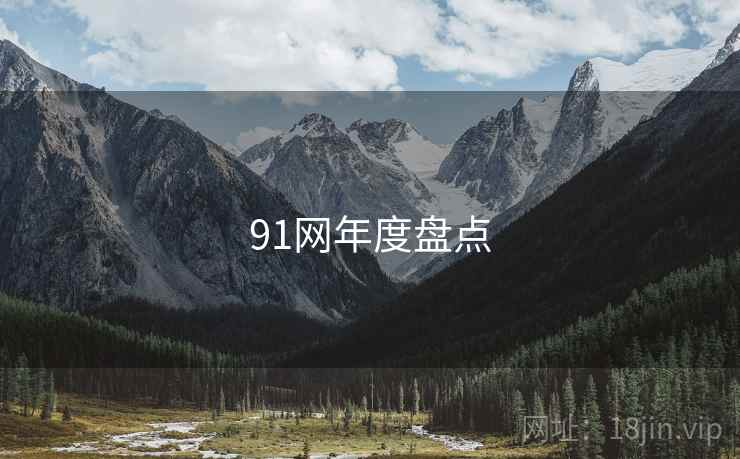 91网年度盘点