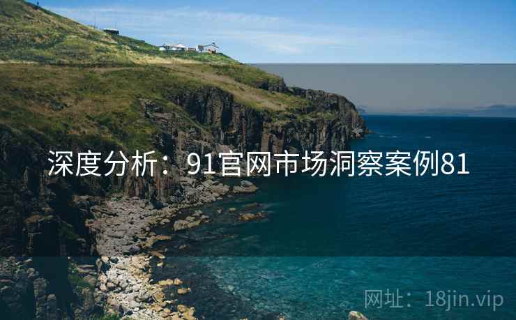 深度分析：91官网市场洞察案例81
