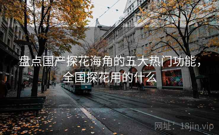 盘点国产探花海角的五大热门功能，全国探花用的什么