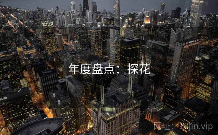 年度盘点：探花