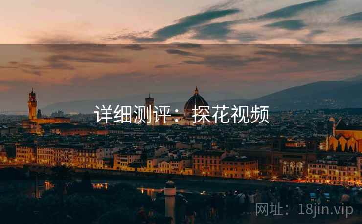 详细测评：探花视频