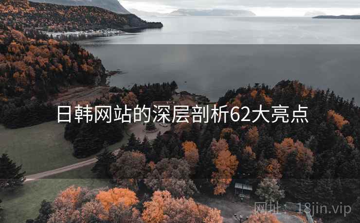 日韩网站的深层剖析62大亮点