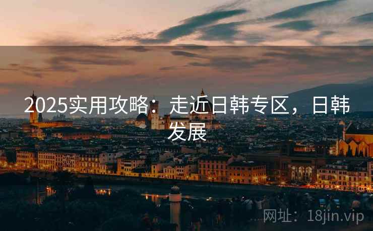 2025实用攻略：走近日韩专区，日韩发展