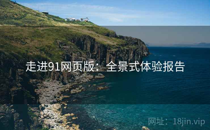 走进91网页版：全景式体验报告