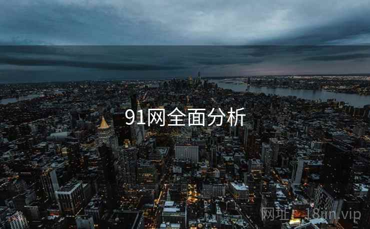 91网全面分析
