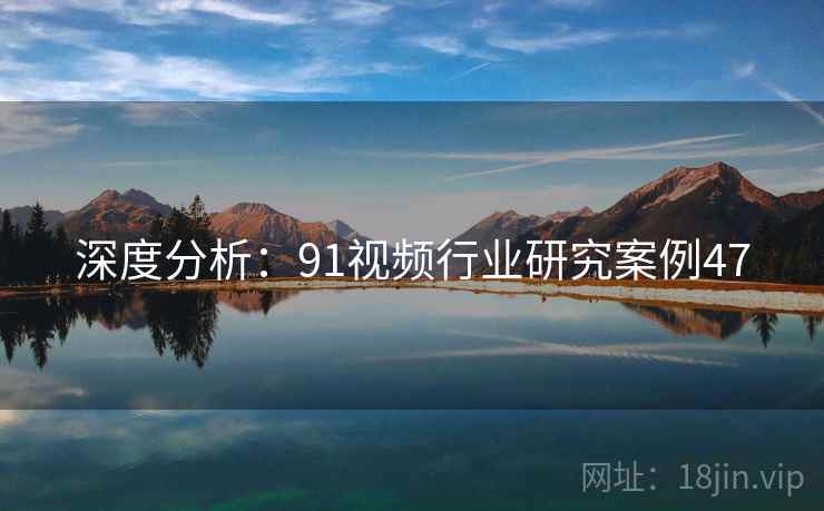 深度分析：91视频行业研究案例47