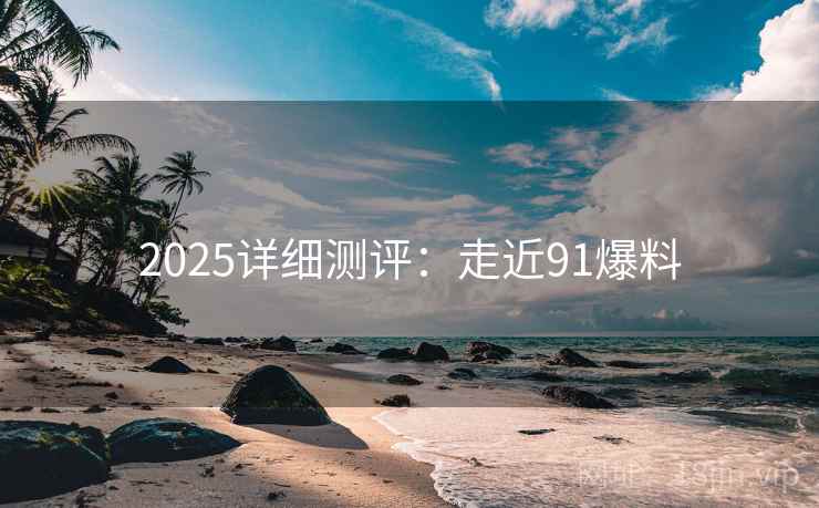 2025详细测评：走近91爆料