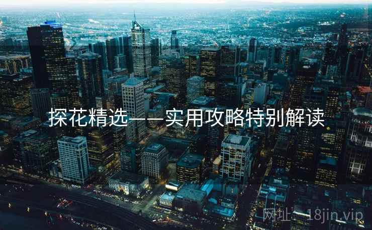 探花精选——实用攻略特别解读