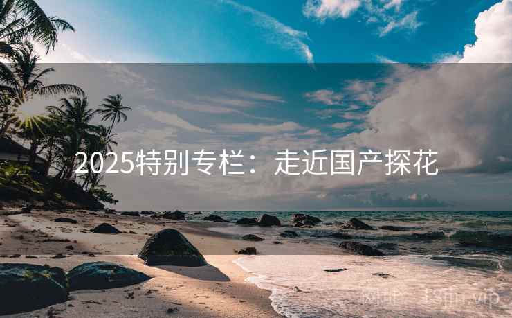 2025特别专栏：走近国产探花