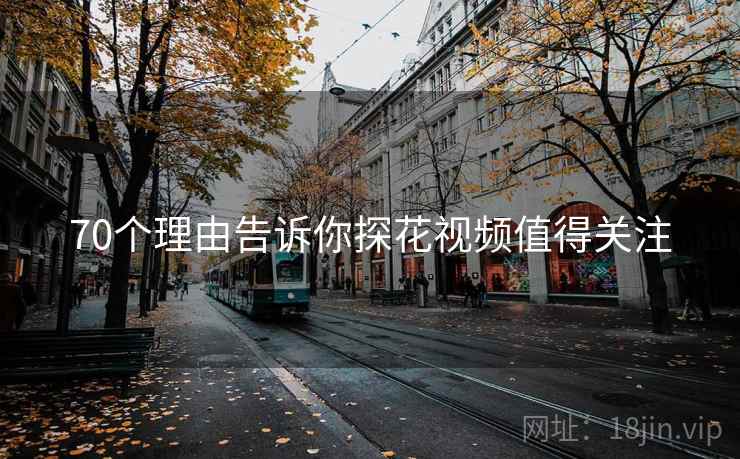 70个理由告诉你探花视频值得关注