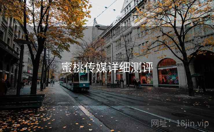 蜜桃传媒详细测评