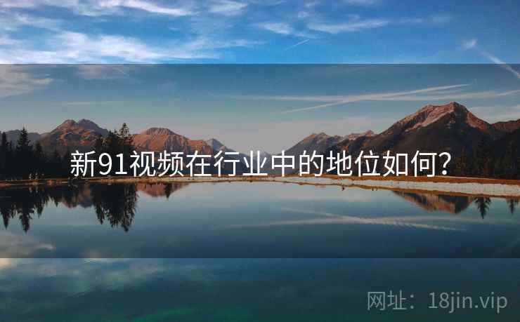 新91视频在行业中的地位如何？