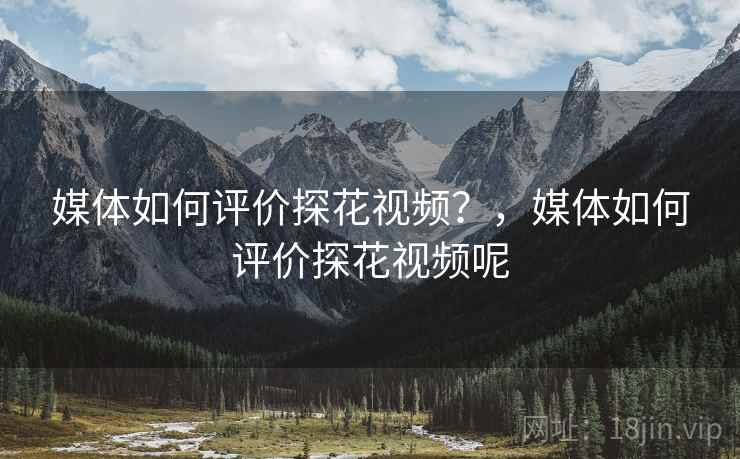 媒体如何评价探花视频？，媒体如何评价探花视频呢