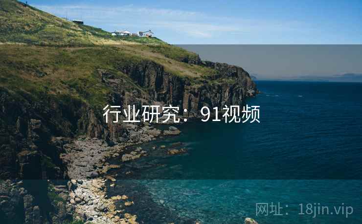 行业研究：91视频