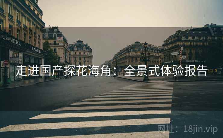 走进国产探花海角：全景式体验报告
