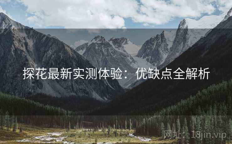 探花最新实测体验：优缺点全解析
