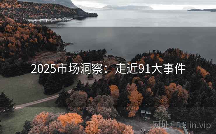 2025市场洞察：走近91大事件