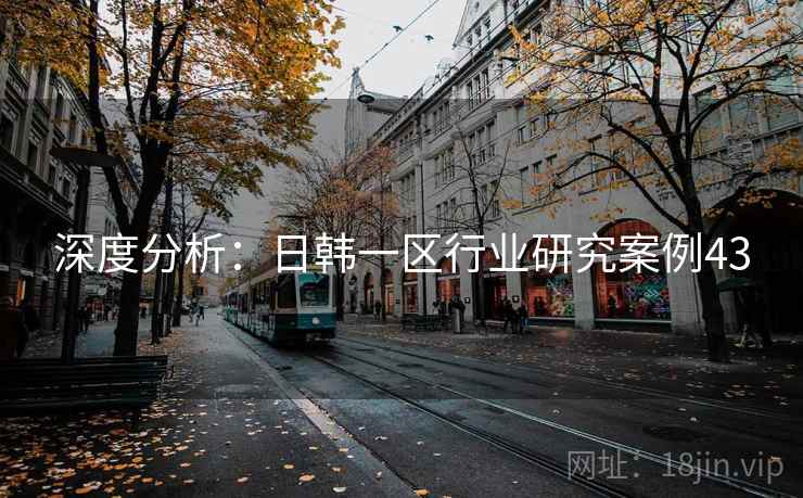 深度分析：日韩一区行业研究案例43