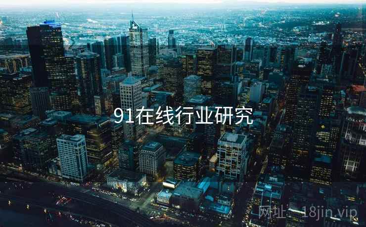 91在线行业研究
