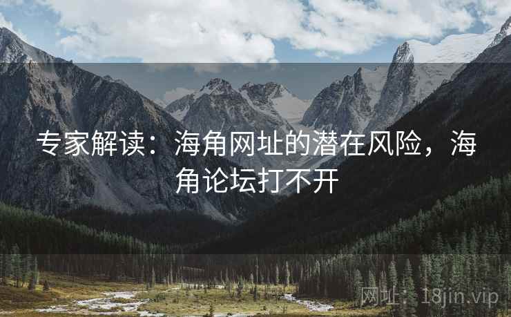专家解读：海角网址的潜在风险，海角论坛打不开