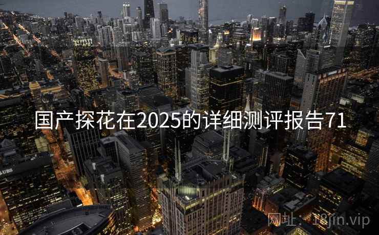 国产探花在2025的详细测评报告71